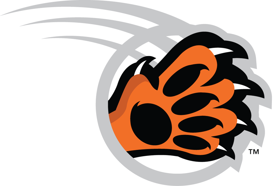 RIT Tigers 2004-Pres Alternate Logo v4 iron on transfers for T-shirts